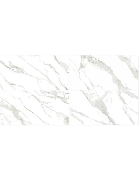 Gran Statuario Pulido 60 X 120